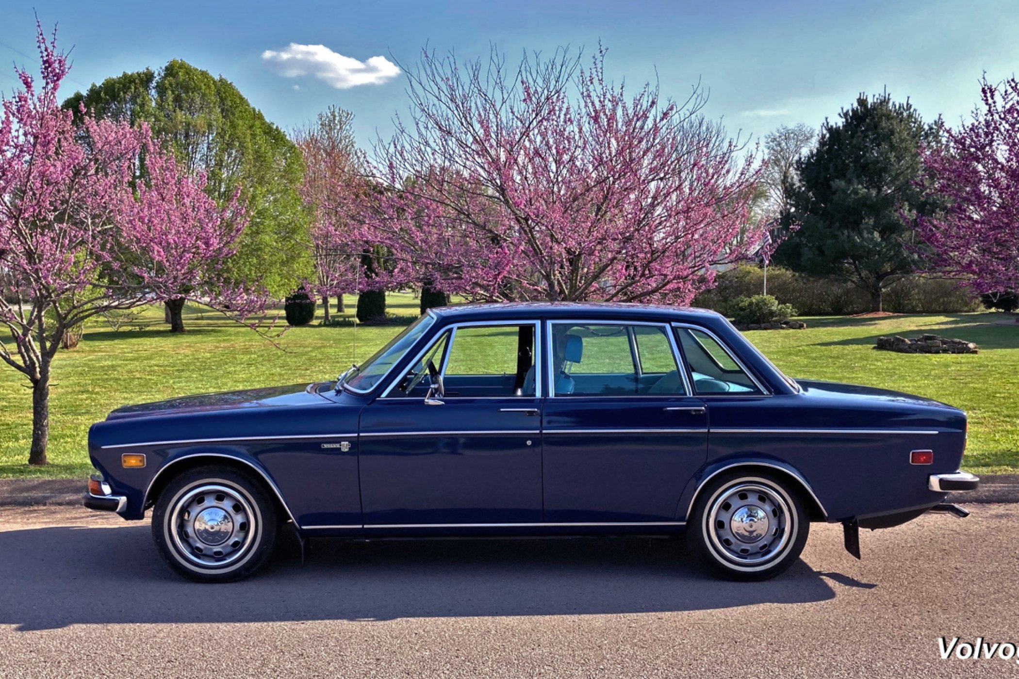 1969 Volvo 164