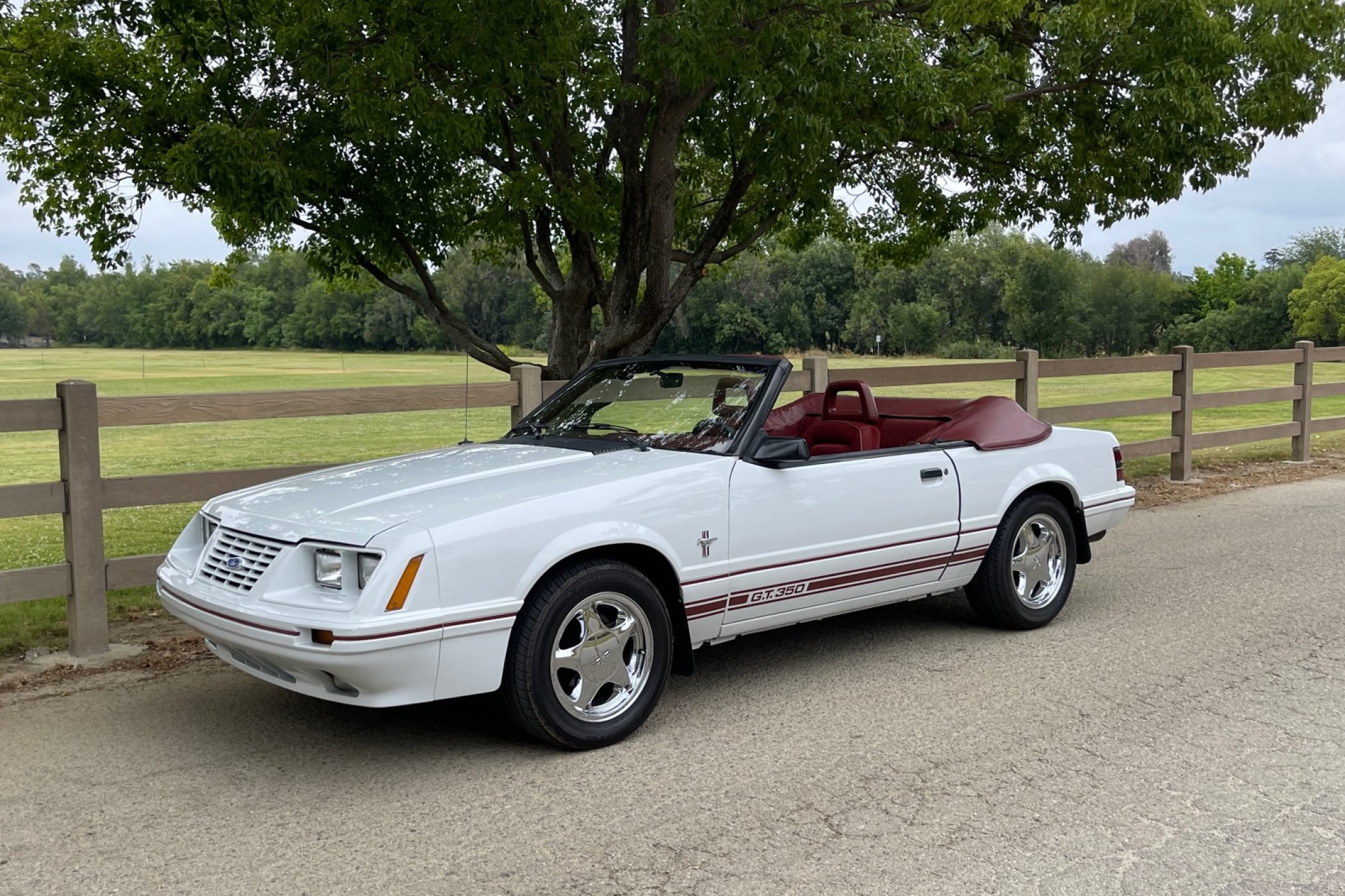 1984 Ford Mustang GT350