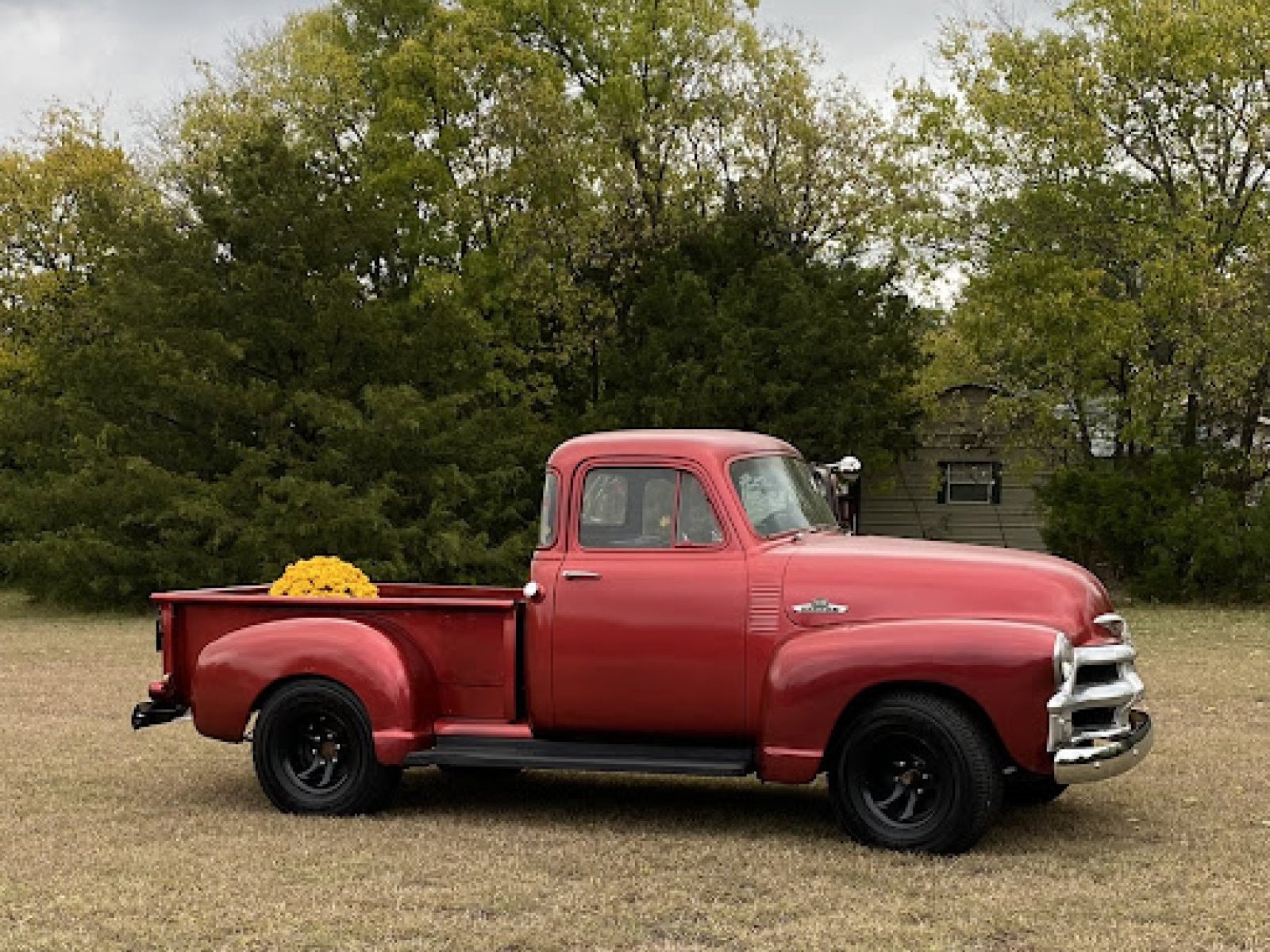 1954 Chevrolet Pickup Truck