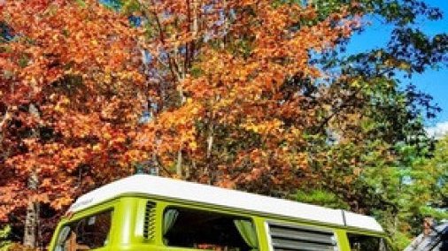 1977 Volkswagen Bus Westfalia Camper