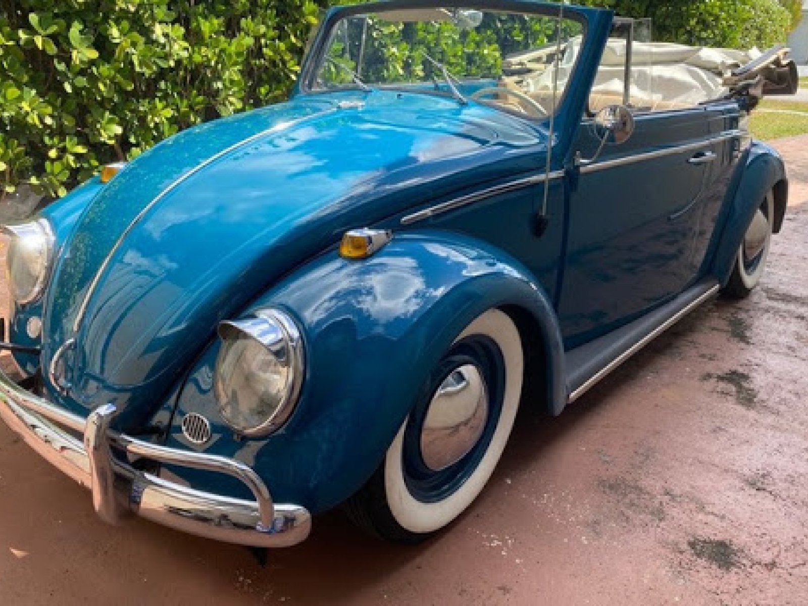 1964 Volkswagen Beetle 1964 Volkswagen Beetle
