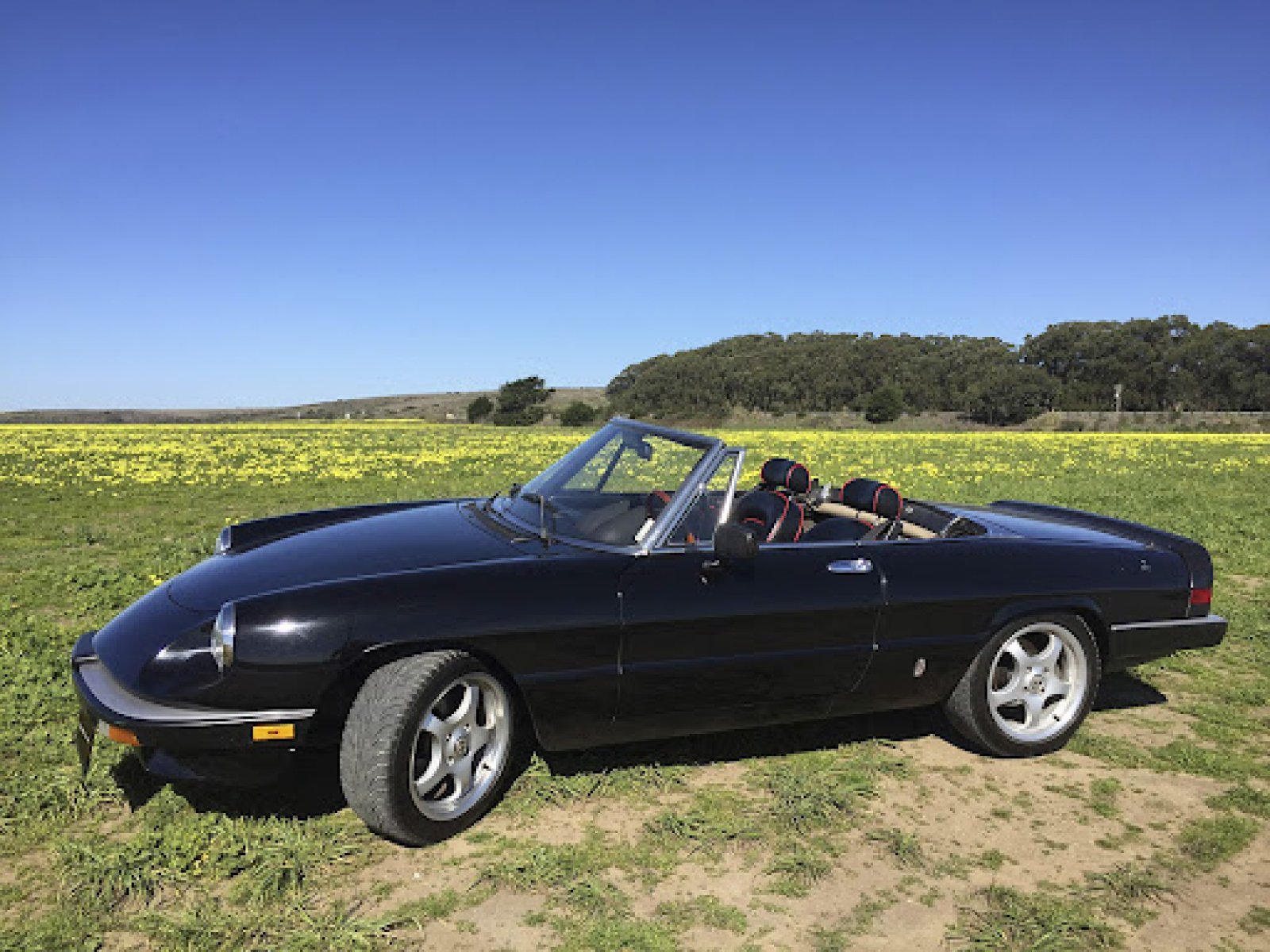 1985 Alfa Romeo Spider