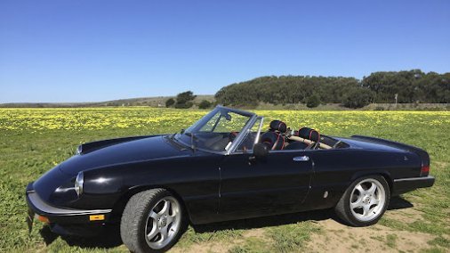 1985 Alfa Romeo Spider