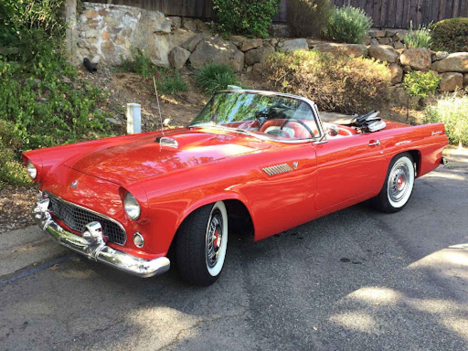 1955 Ford Thunderbird