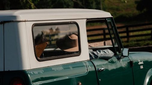 1969 International Scout 800