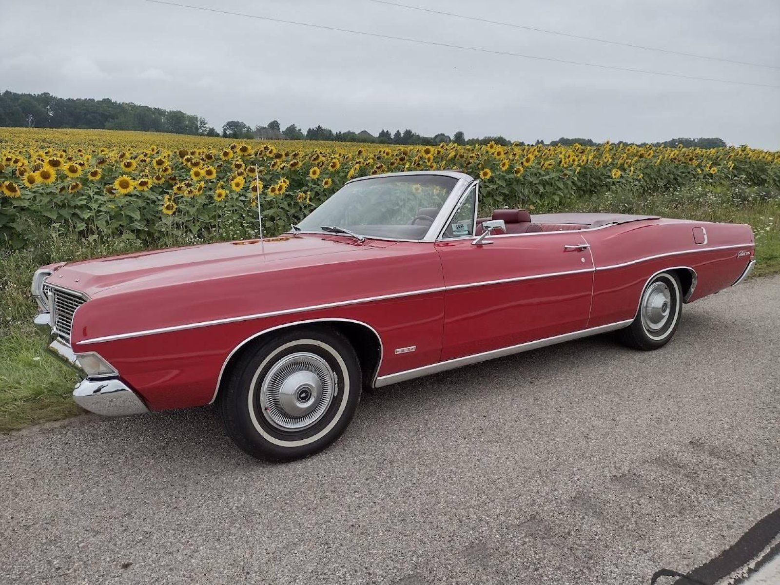 シーガー　14号 1968 Ford Galaxie 500