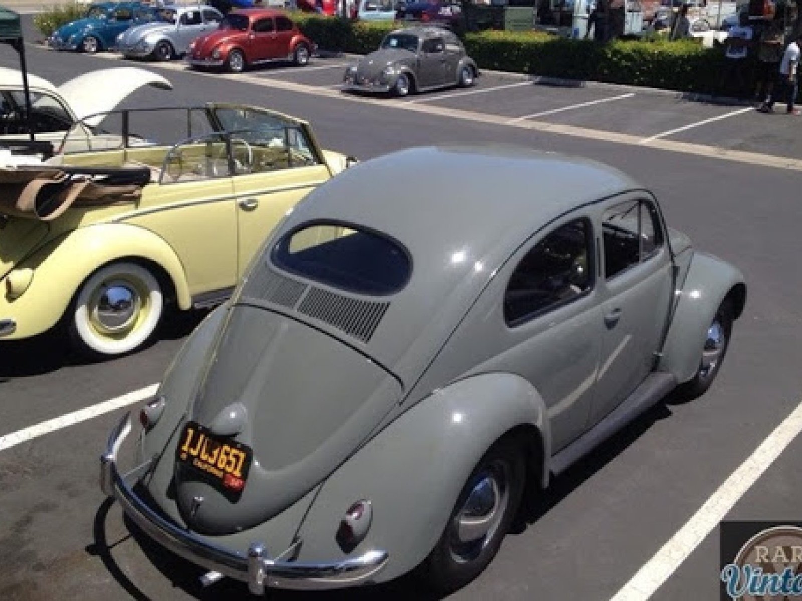 1954 Volkswagen Standard