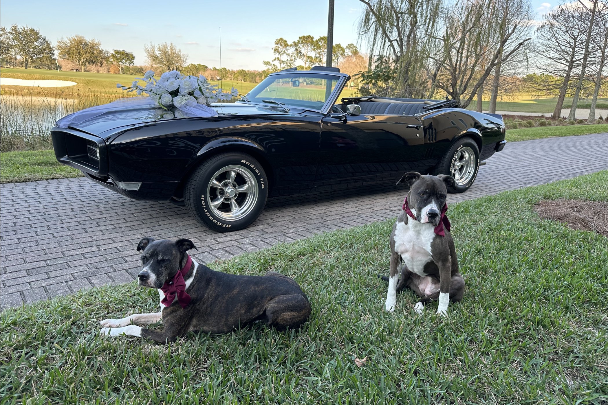 1968 Pontiac Firebird