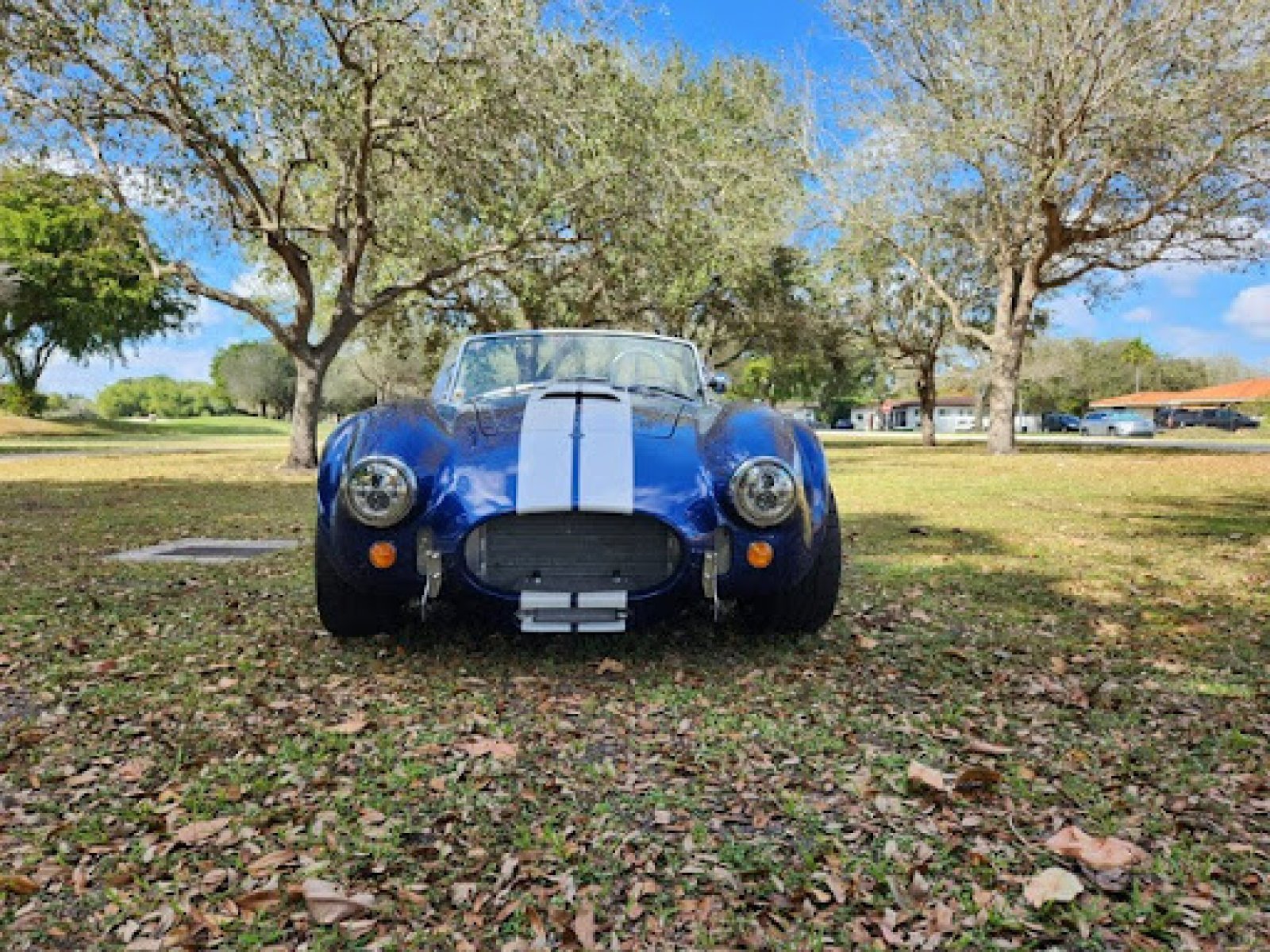 1965 Backdraft Cobra Rt3