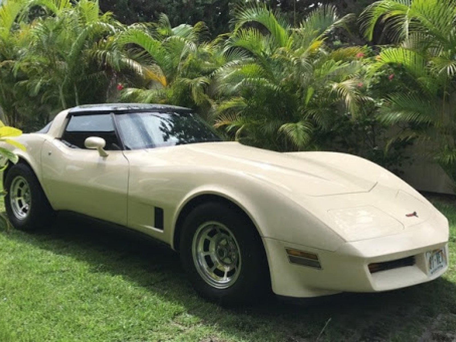 1981 Chevrolet Corvette