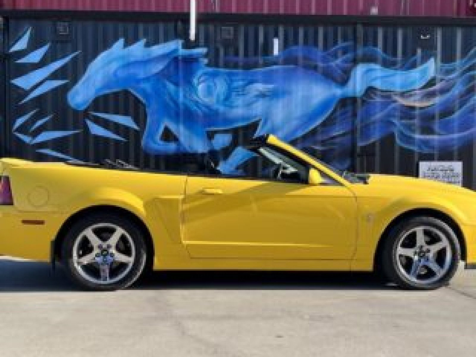 2004 Ford Mustang Cobra Convertible