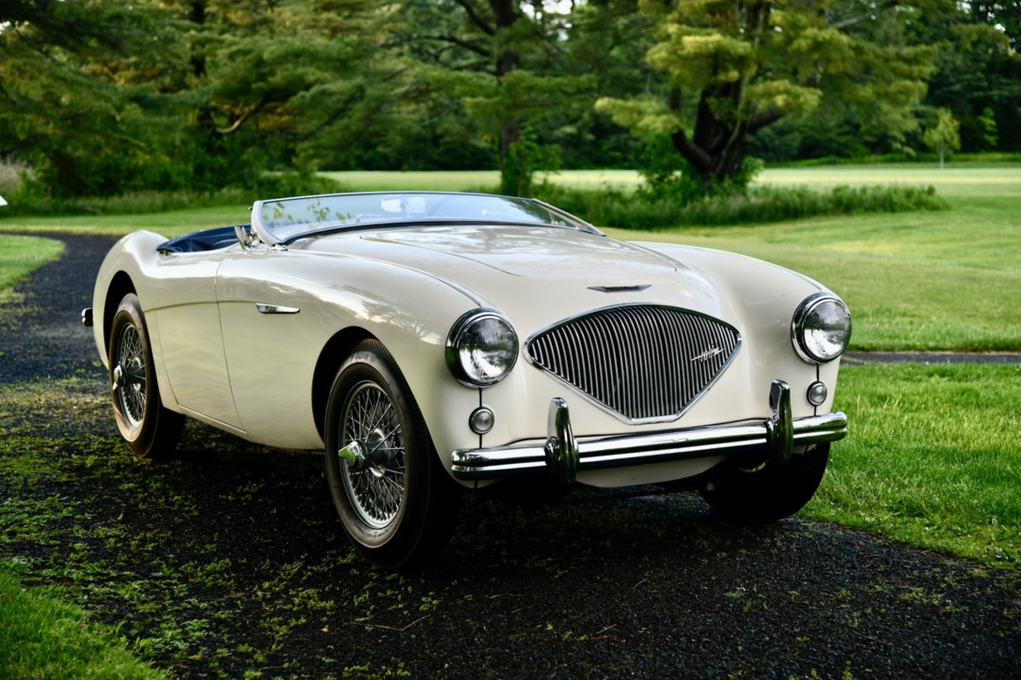 1953 Austin-Healey 100