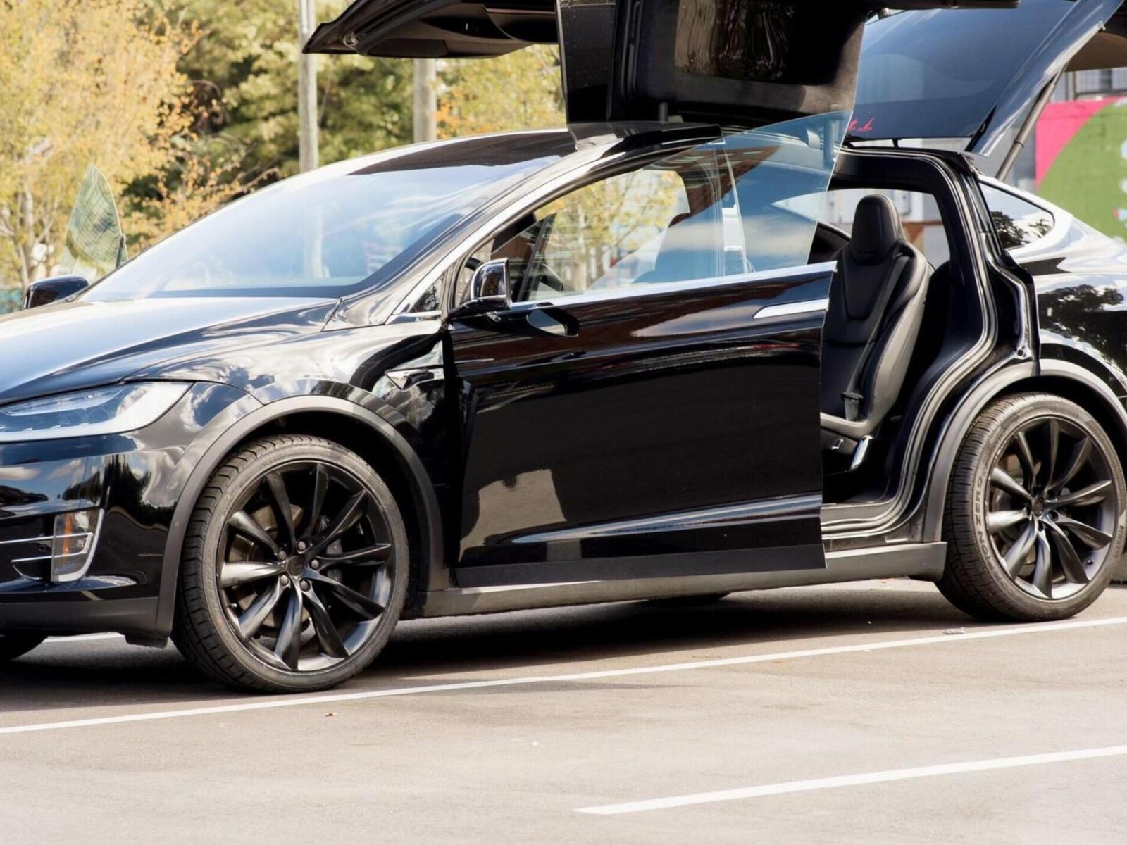 2019 Tesla Model X (Truck)