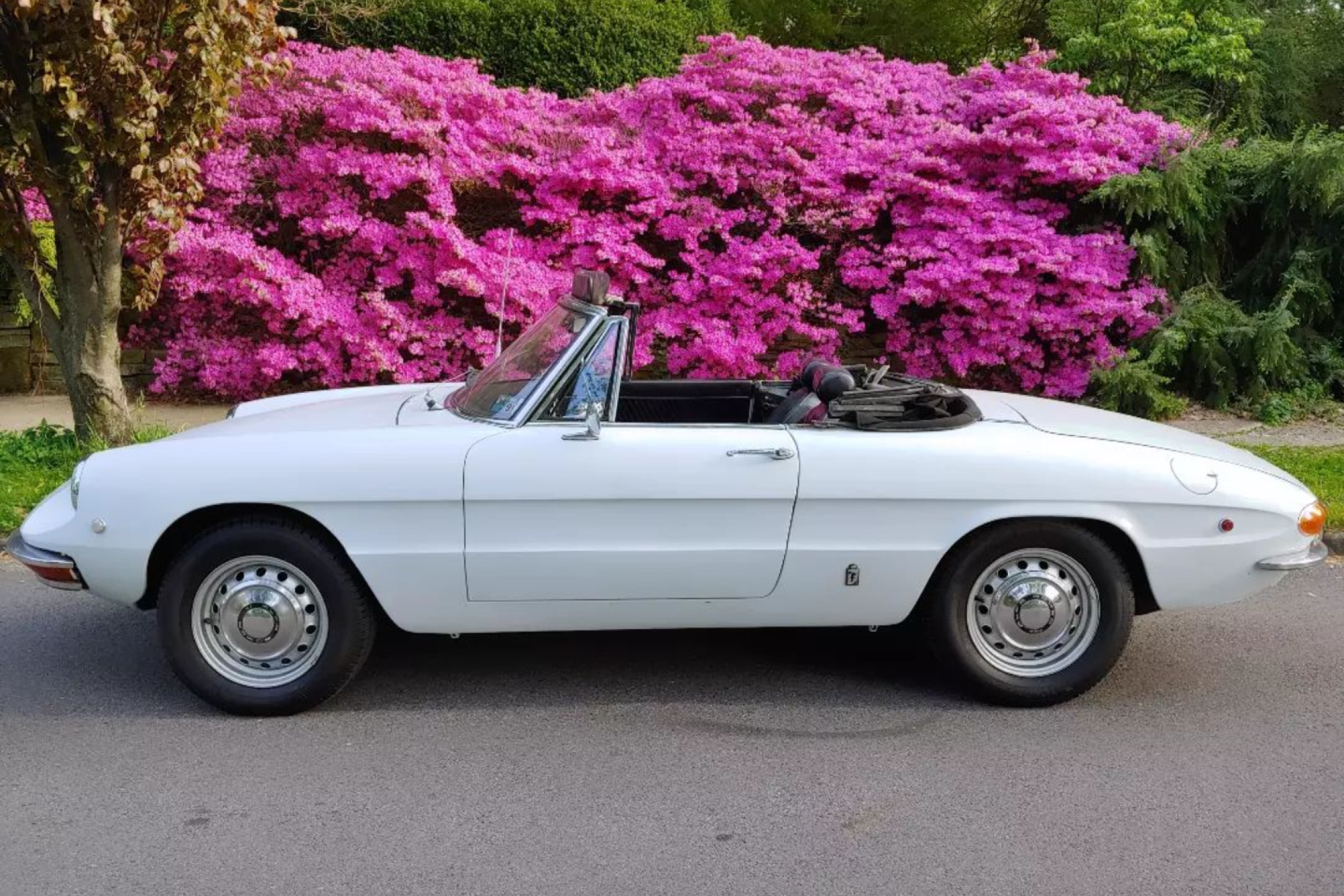 1969 Alfa Romeo Spider Duetto