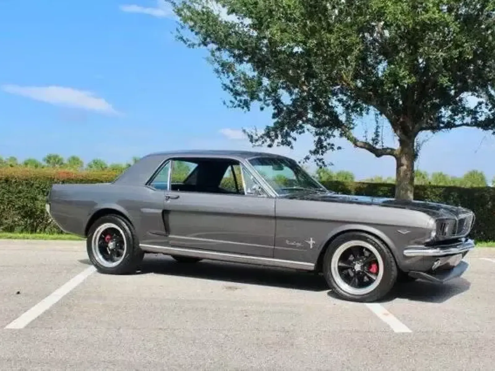 1966 Ford Mustang