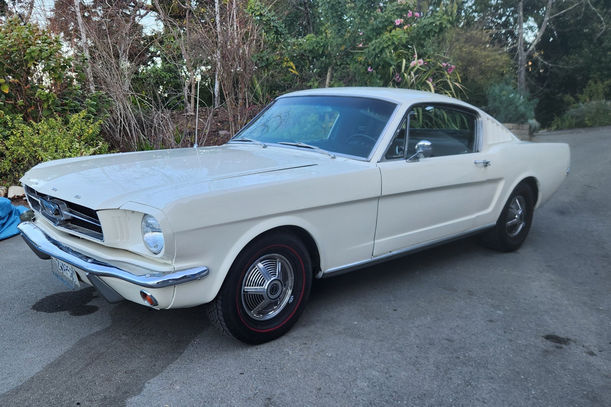 1965 Ford Mustang