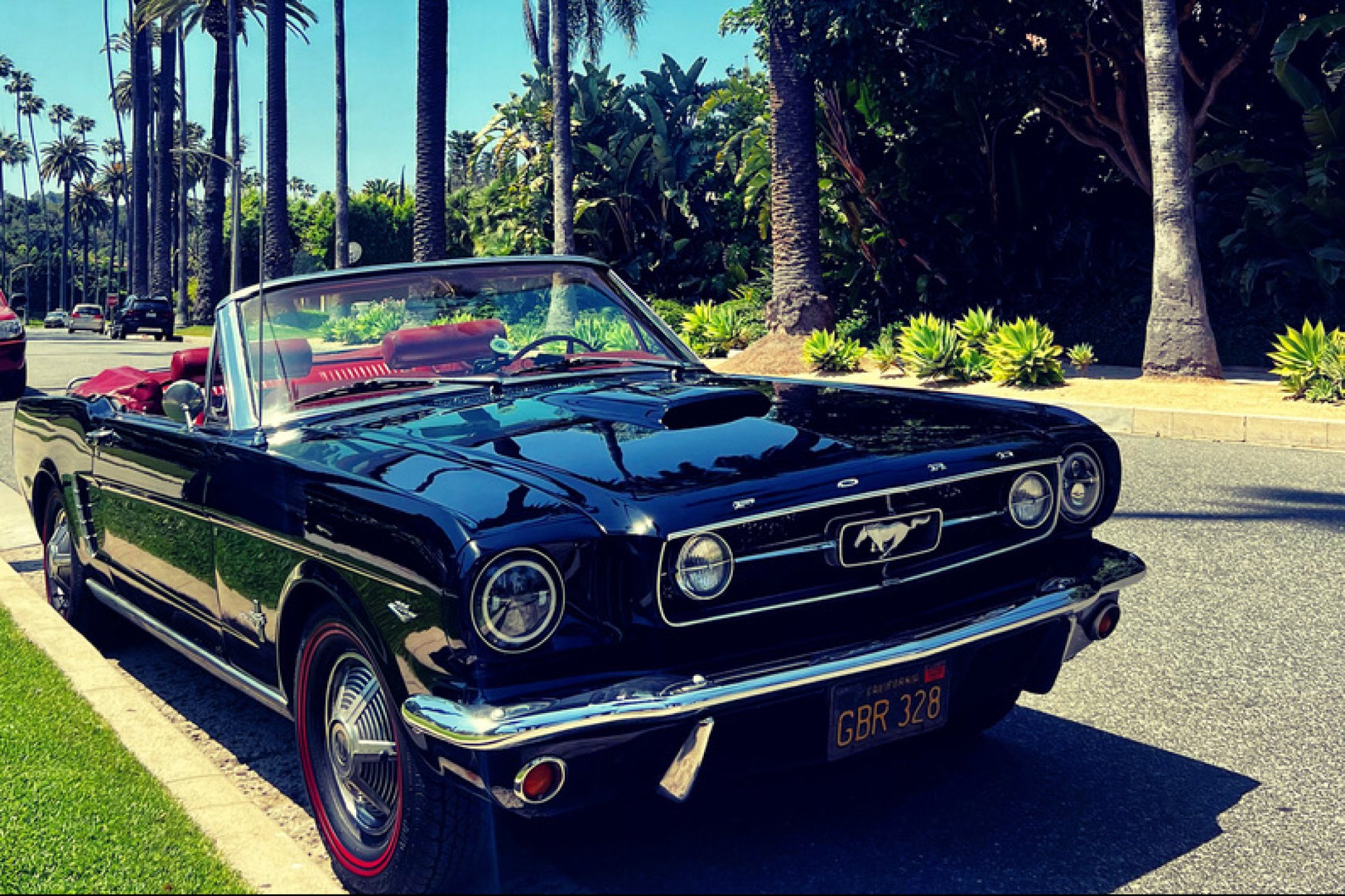 1965 Ford Mustang