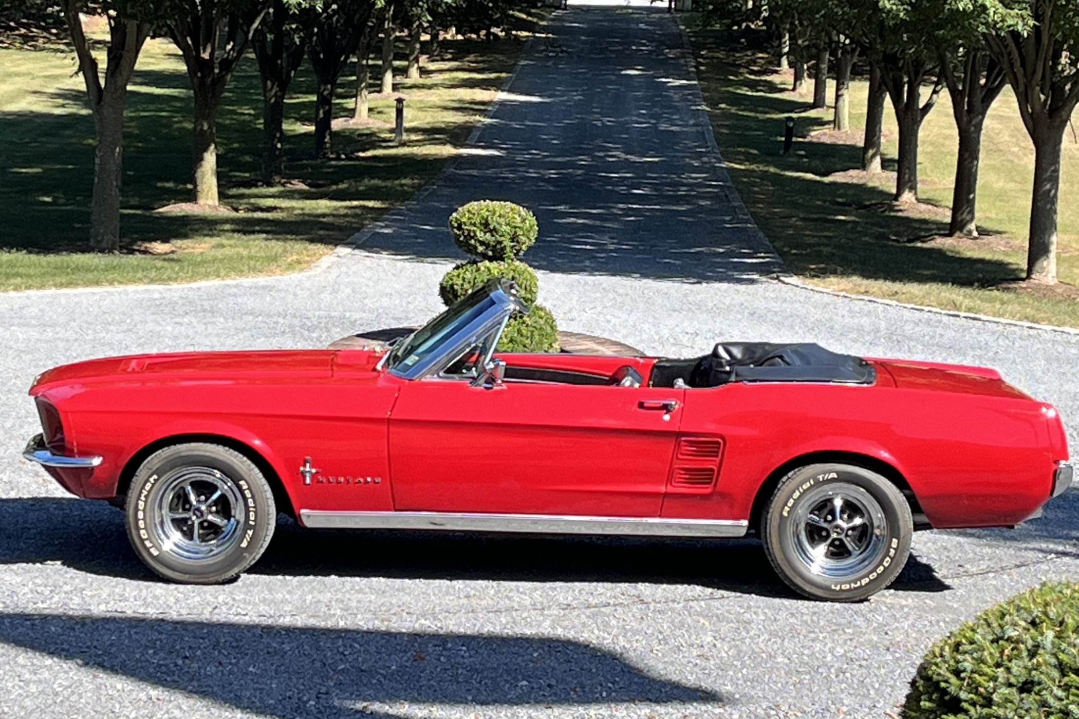 1967 Ford Mustang