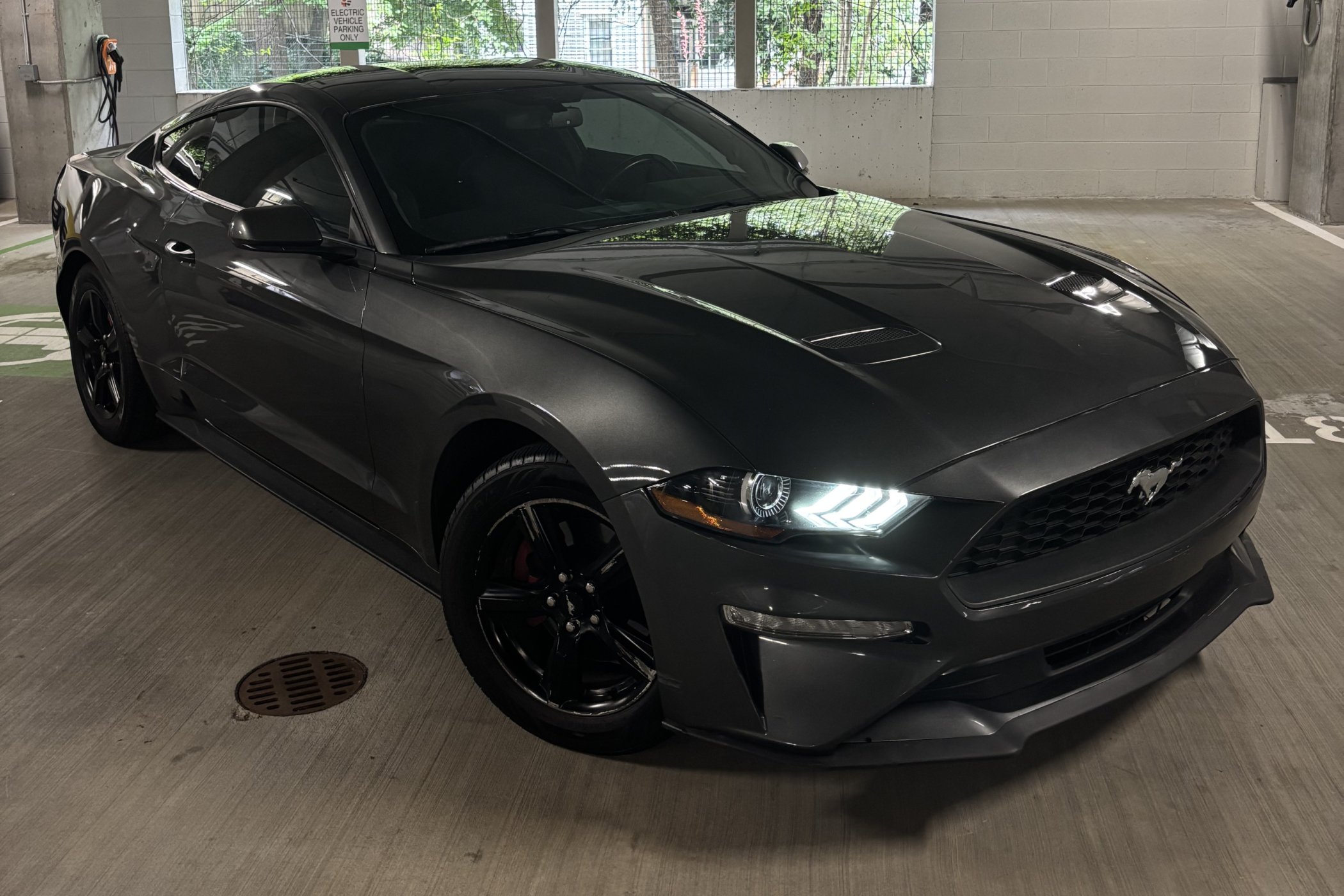 2019 Ford Mustang