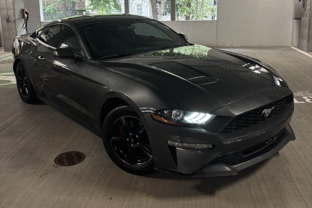 2019 Ford Mustang