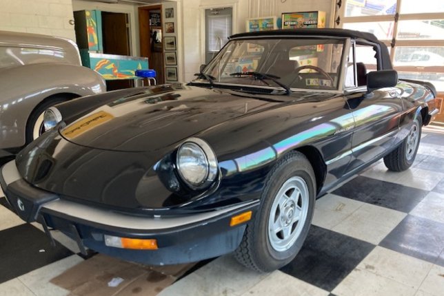 1985 Alfa Romeo Spider