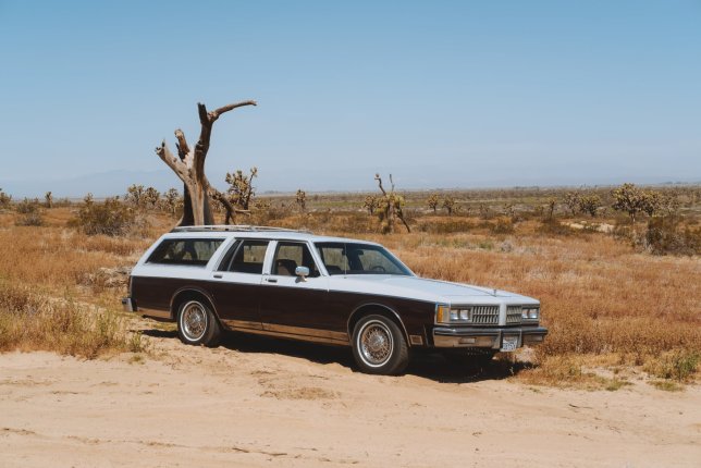 1981 Oldsmobile Cutlass Cruiser