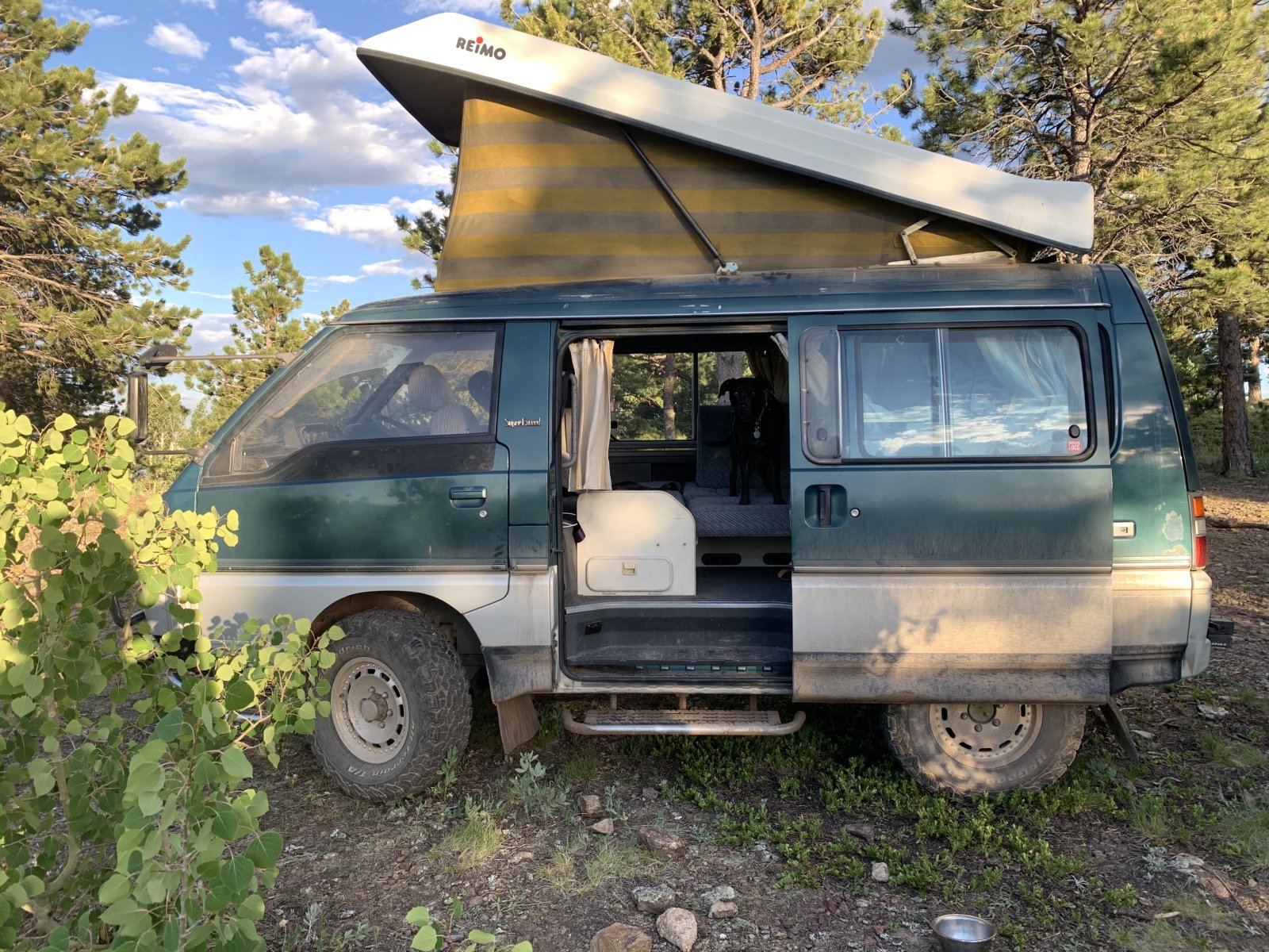 1994 Mitsubishi Delica