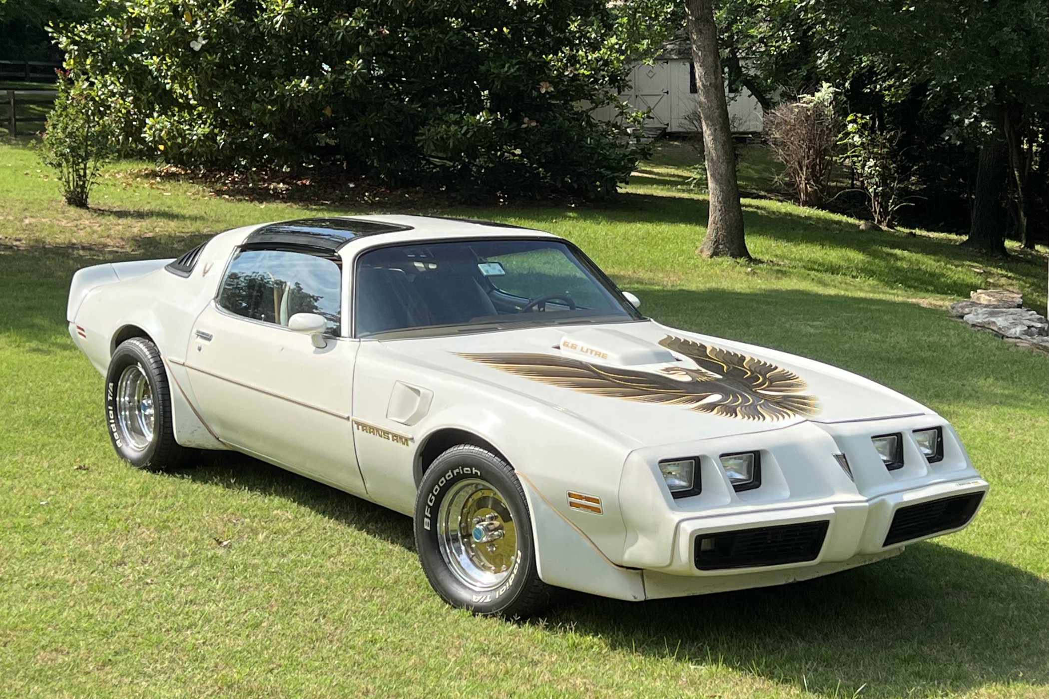 1979 Pontiac Firebird