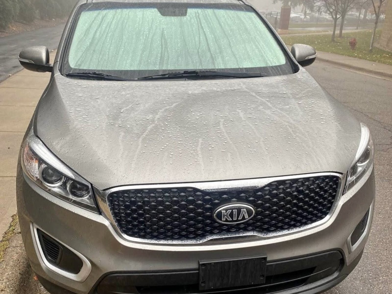 2017 Kia Sorento
