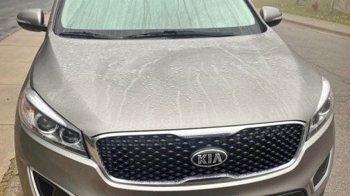 2017 Kia Sorento