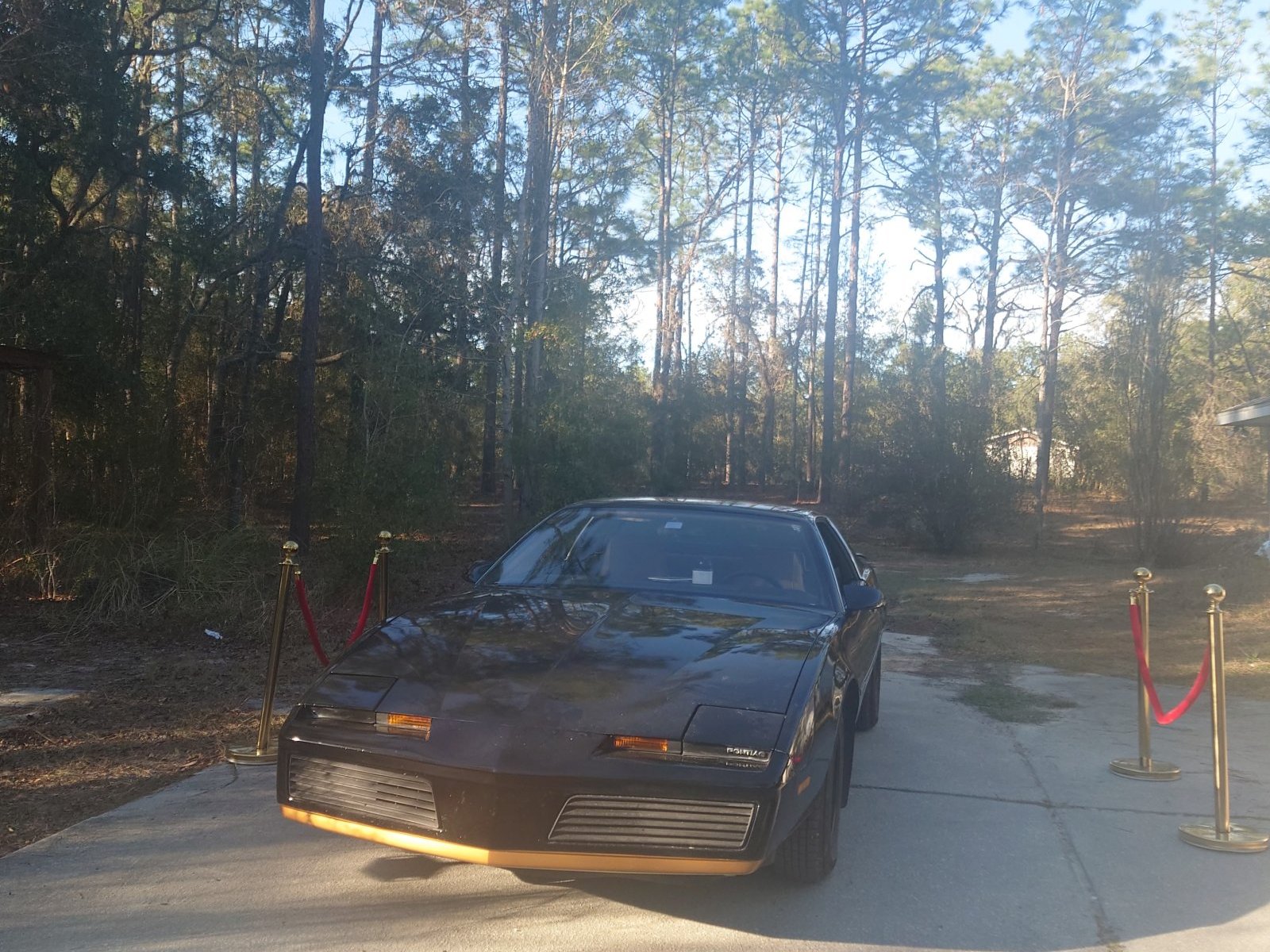 1983 Pontiac Firebird Trans Am