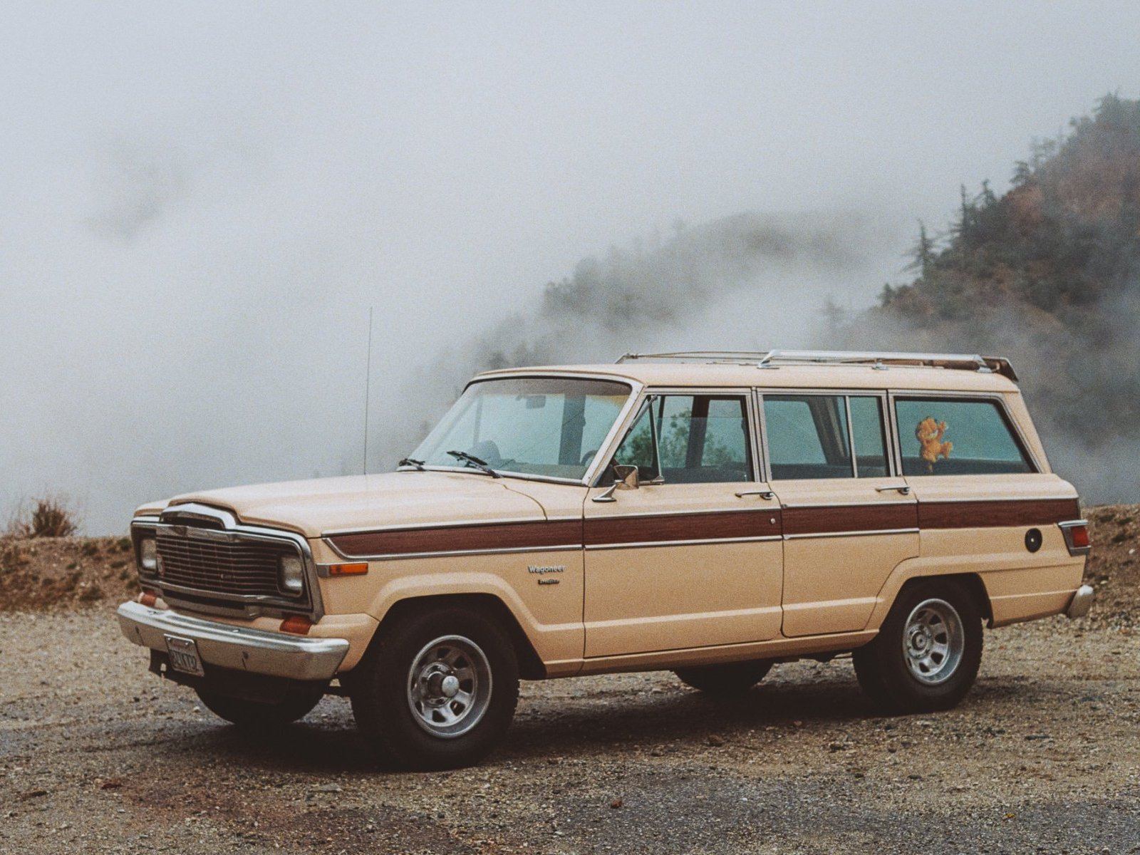 1982 Jeep Wagoneer