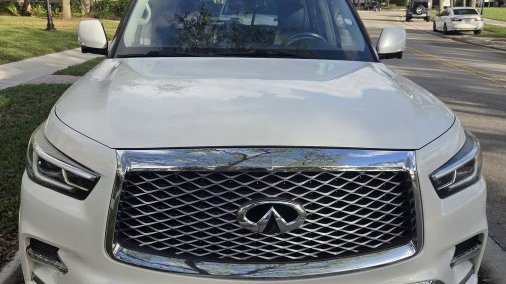 2019 Infinity QX80