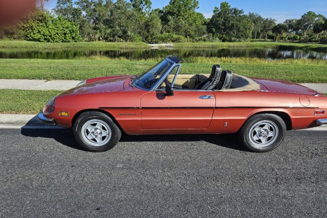 1981 Alfa Romeo Spider