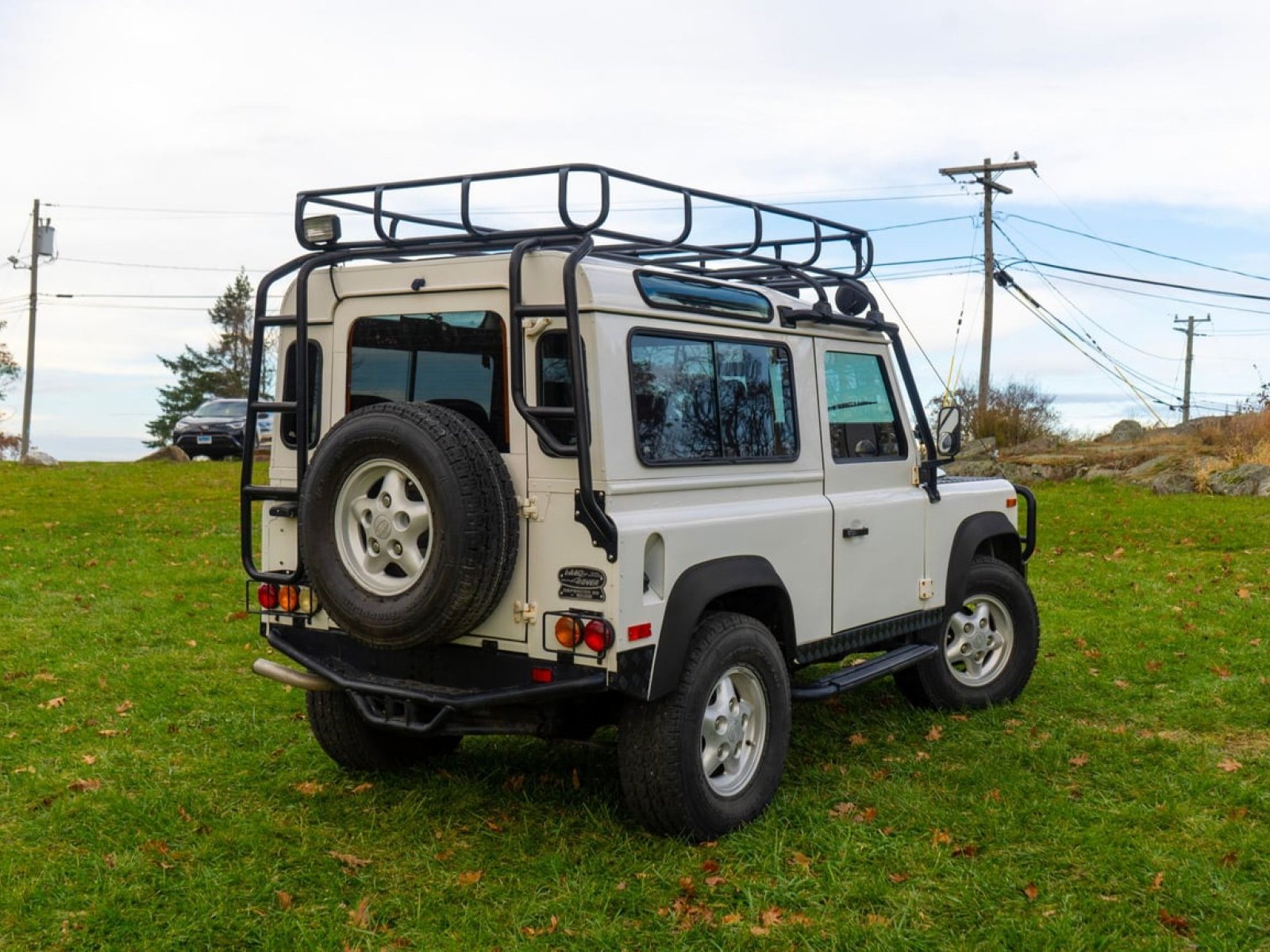 1994 Land Rover Defender 90 (Truck)