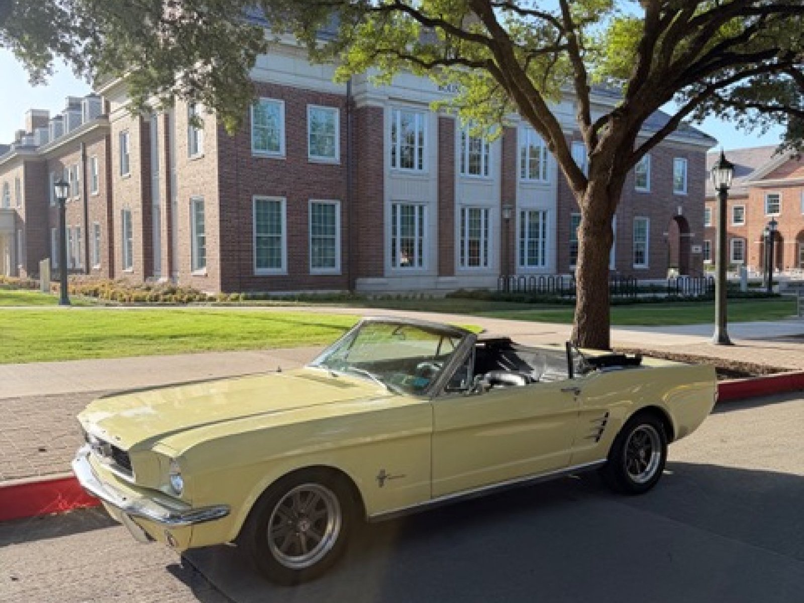 1966 Ford Mustang