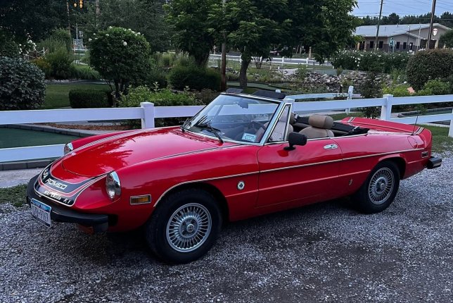 1978 Alfa Romeo Spider
