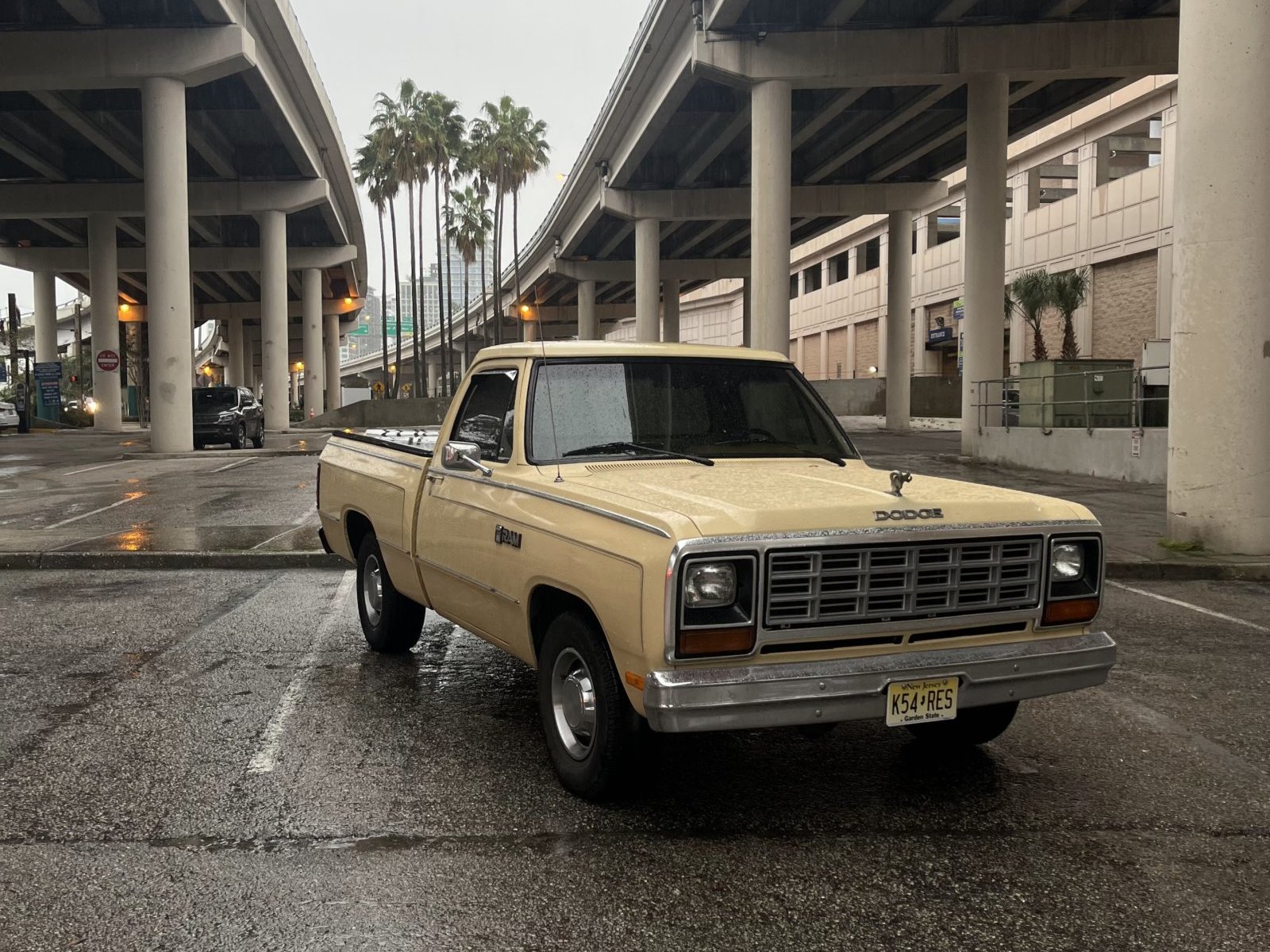 1985 Dodge D150