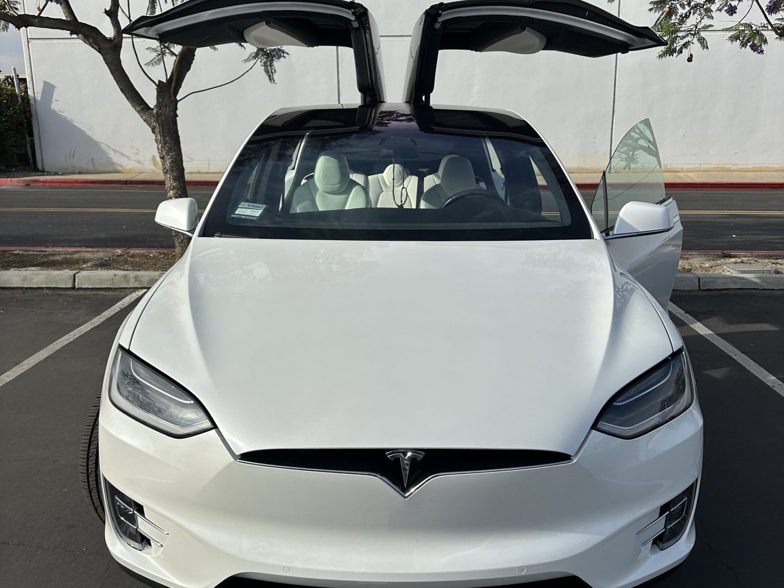 2019 Tesla Model X