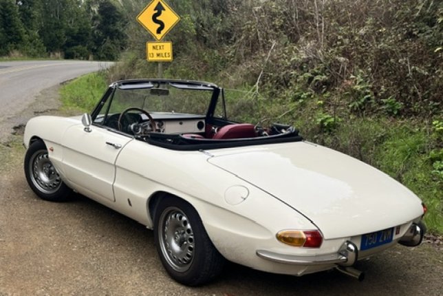 1966 Alfa Romeo Spider