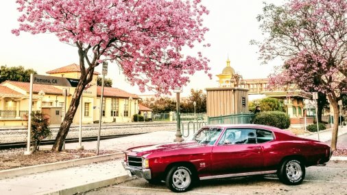 1971 Chevrolet Chevelle Malibu