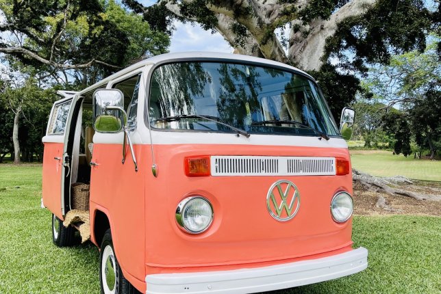 1974 Volkswagen Bus