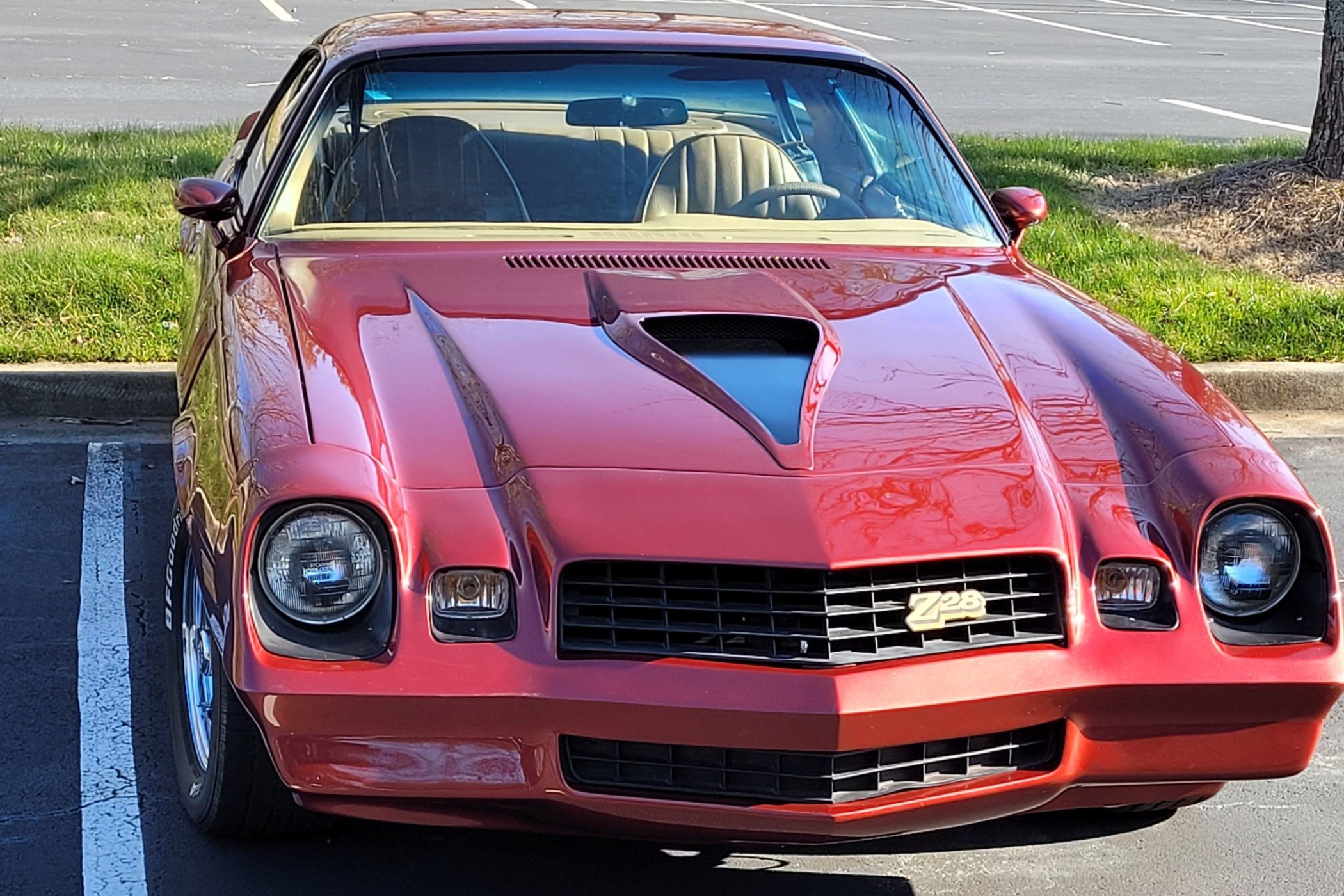 1978 camaro deals hood