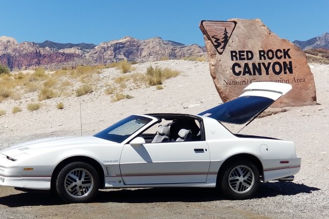 1985 Pontiac Firebird