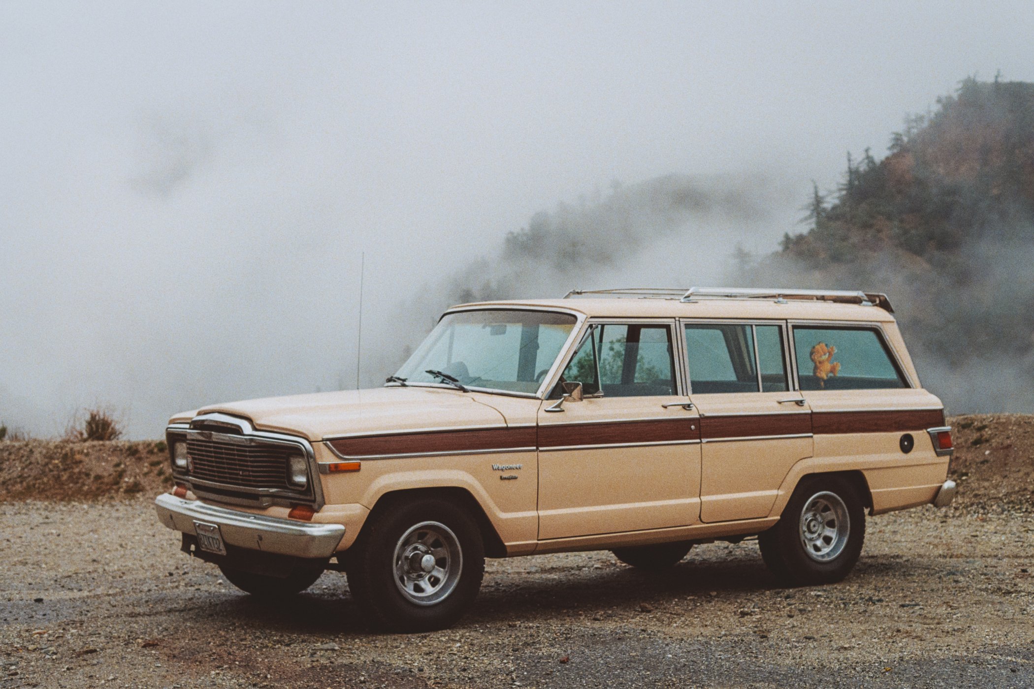 1982 Jeep Wagoneer