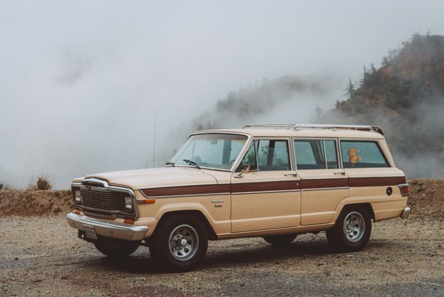 1982 Jeep Wagoneer