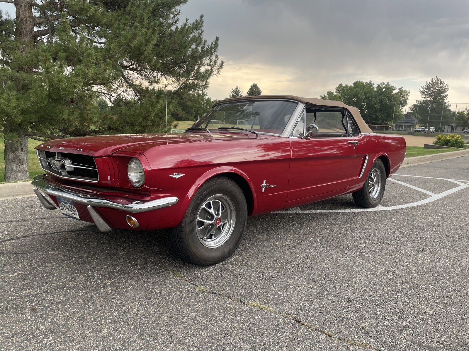 Cover image for public collection