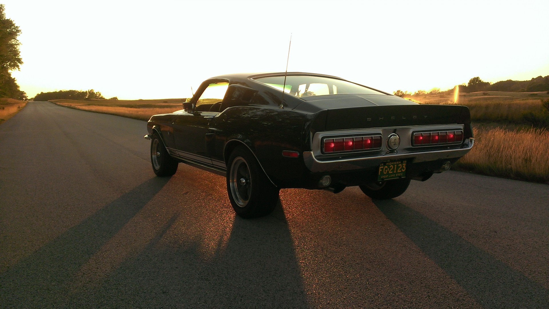 Cover image for public collection