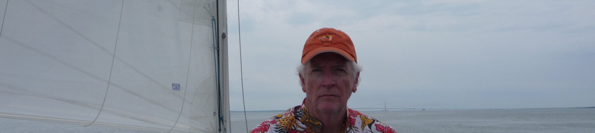 Cover image for public collection