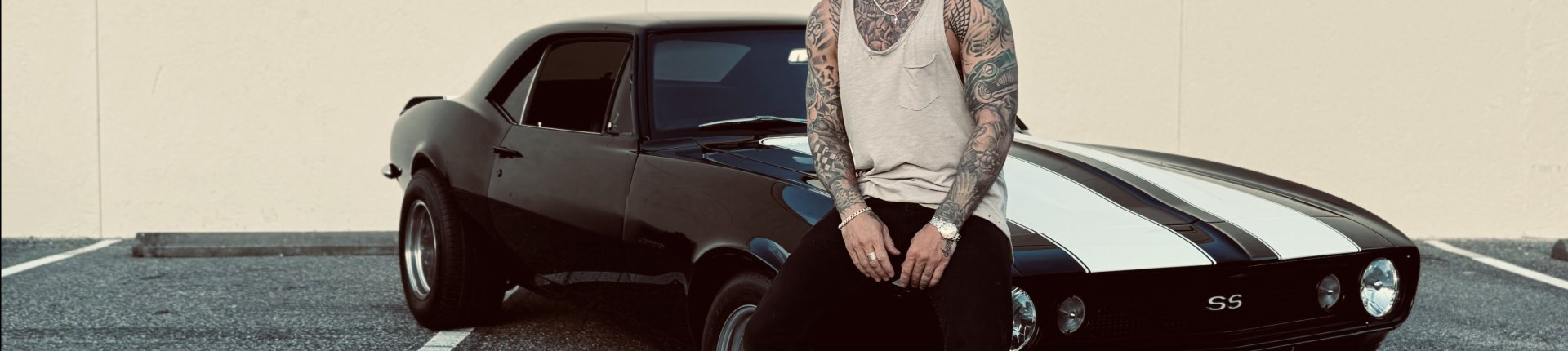 Cover image for public collection